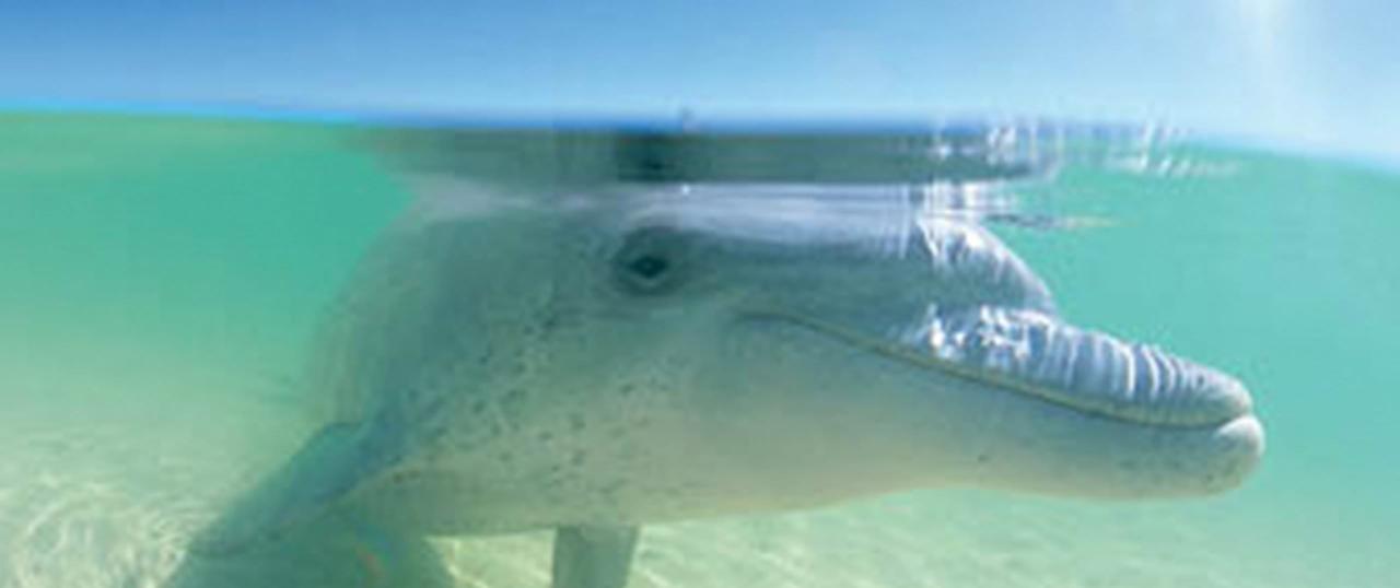 Outback Coast Tour