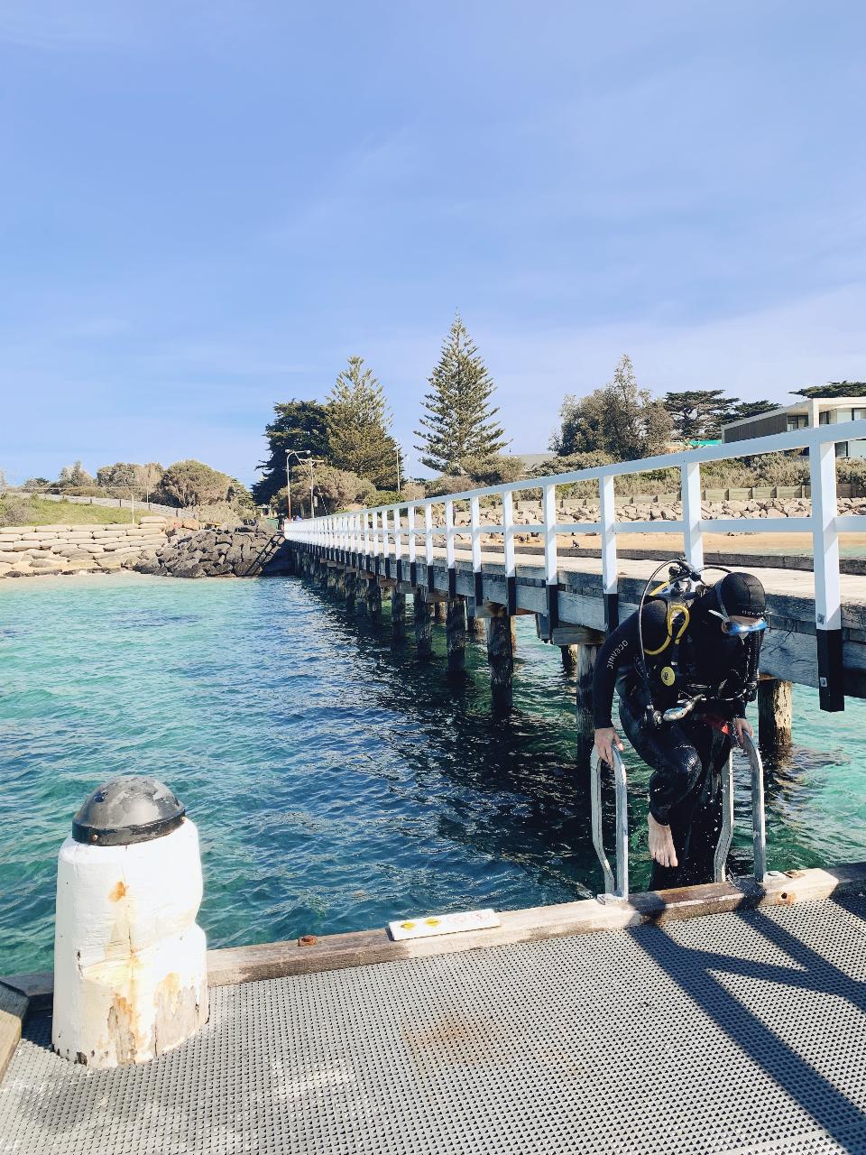 Padi Open Water Dive Course