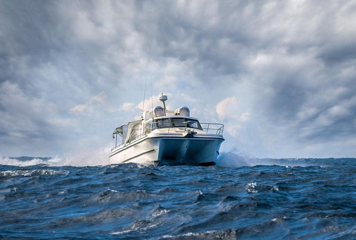 Ocean Whale Watching Experience