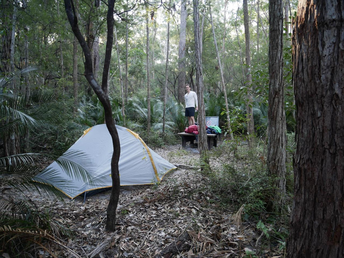 Adventure Hike: Valley Of The Giants - 4 Days