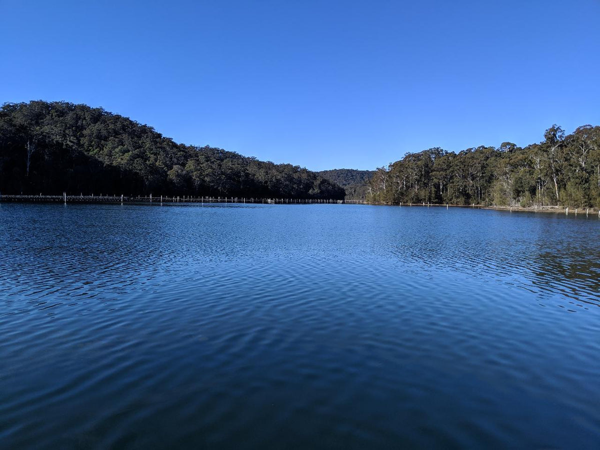 Self Guided E-Bike Tour - Pedal To Produce Series - Wagonga Wilderness Loop