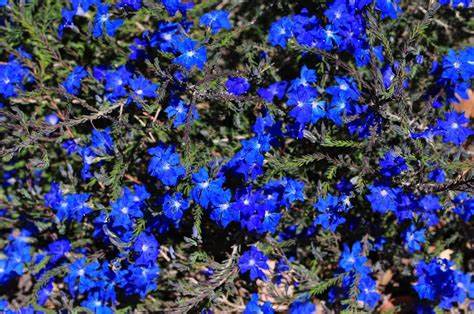 Southern Wheatbelt Wander Two Nights & Three Days