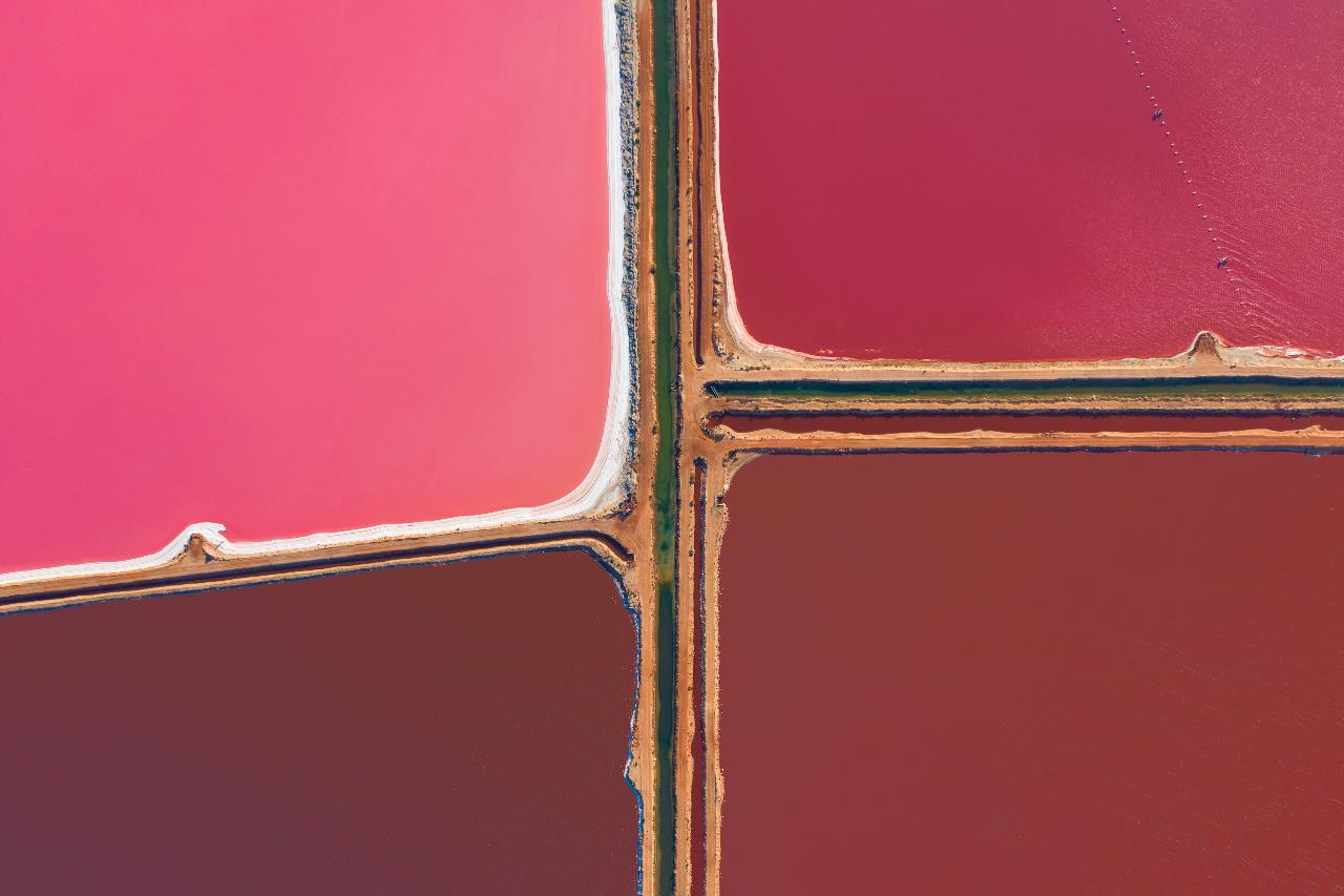 Pink Lake, Kalbarri And Abrolhos Islands - Half Day Tour