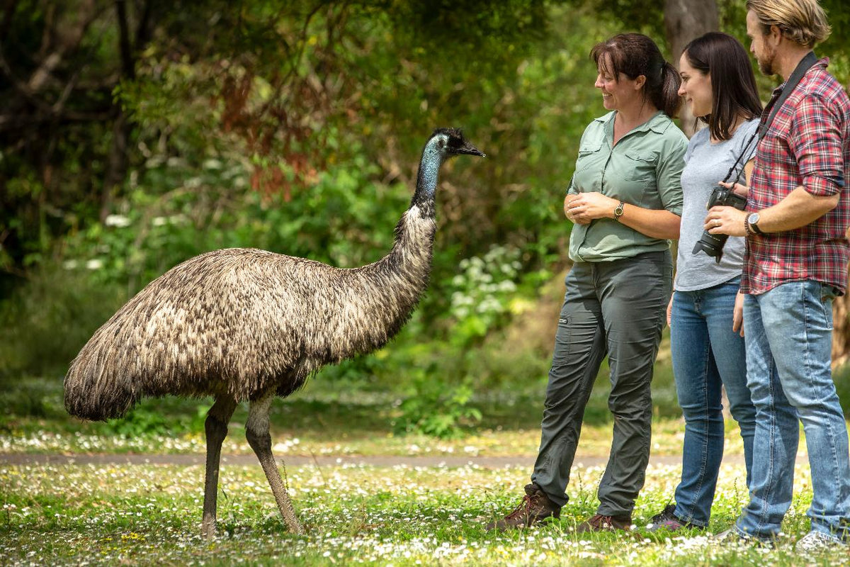 Autopia Tours: Melbourne To Adelaide 3 Day