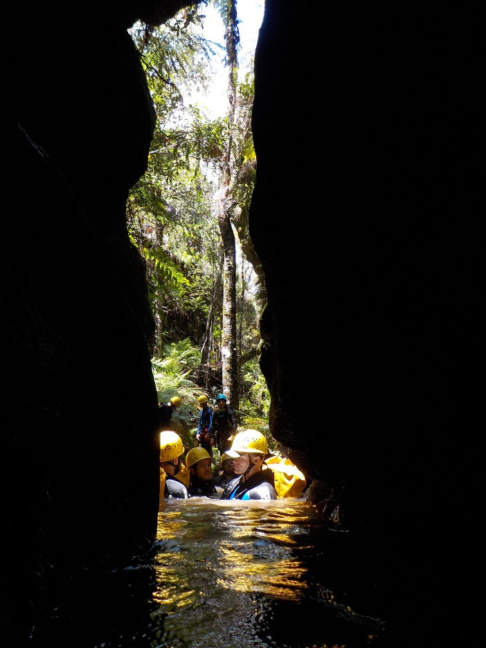 Whungee Whengee Canyon - Blue Mountains