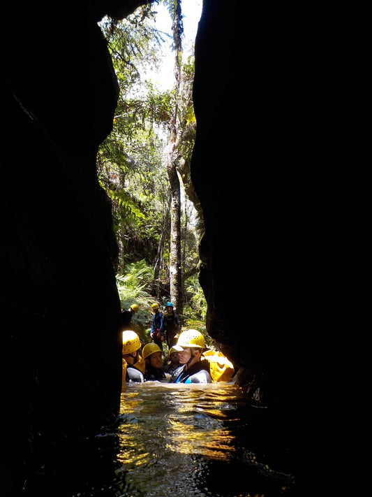 Whungee Whengee Canyon - Blue Mountains
