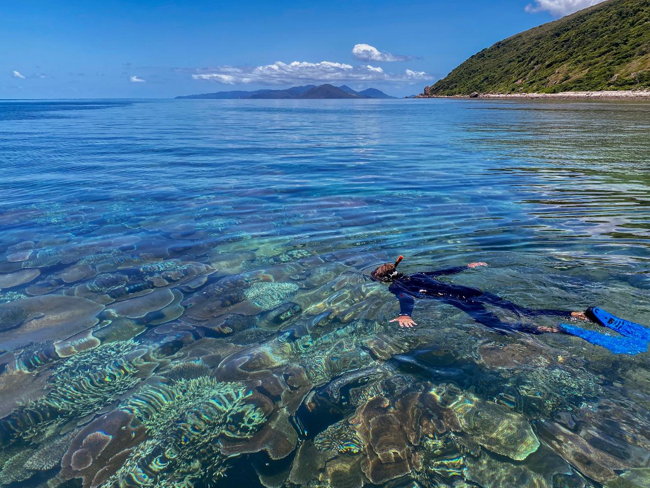 Full Day Orpheus Island Snorkelling Tour