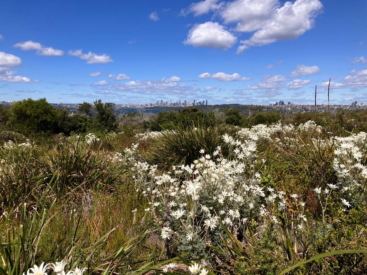 Private Tour - Nature, Culture And History, Immersion In North Head