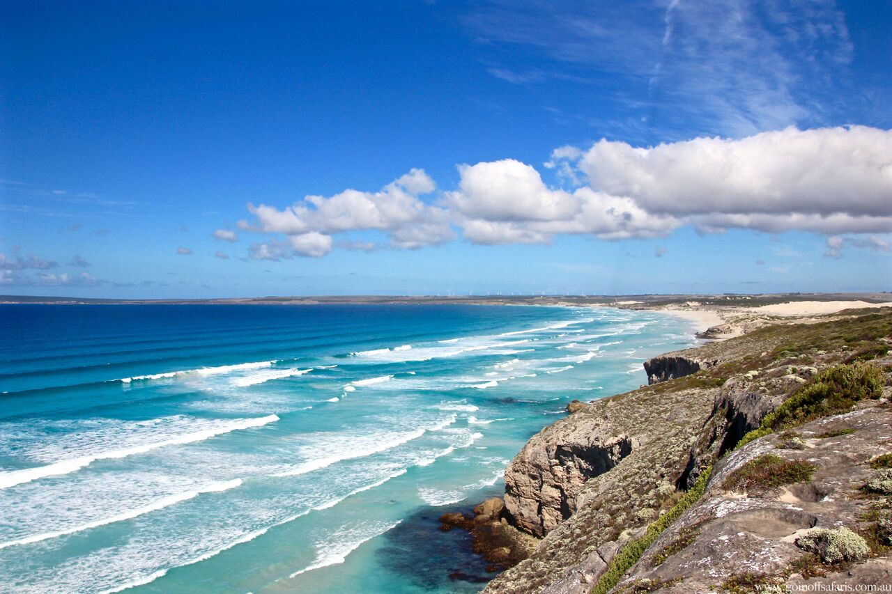 Port Lincoln & Coffin Bay Highlights - 2 Days & 1 Night