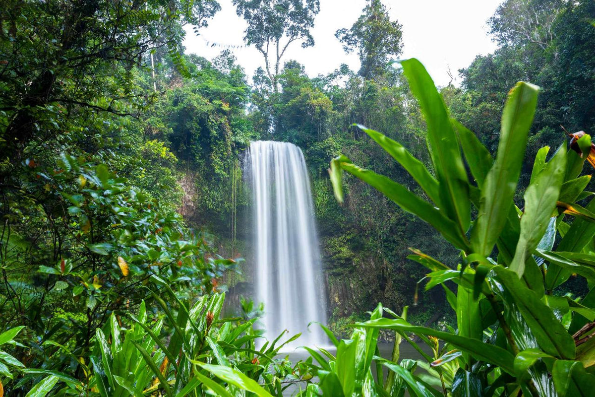 12-Day 4Wd Premium Cape York Tour