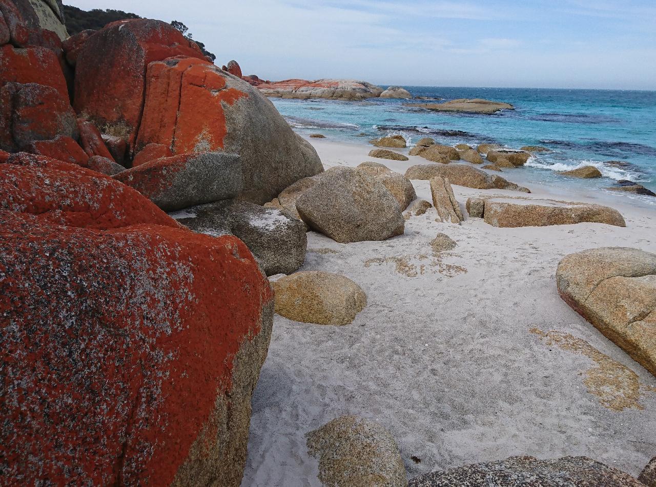 Bay Of Fires Day Tour