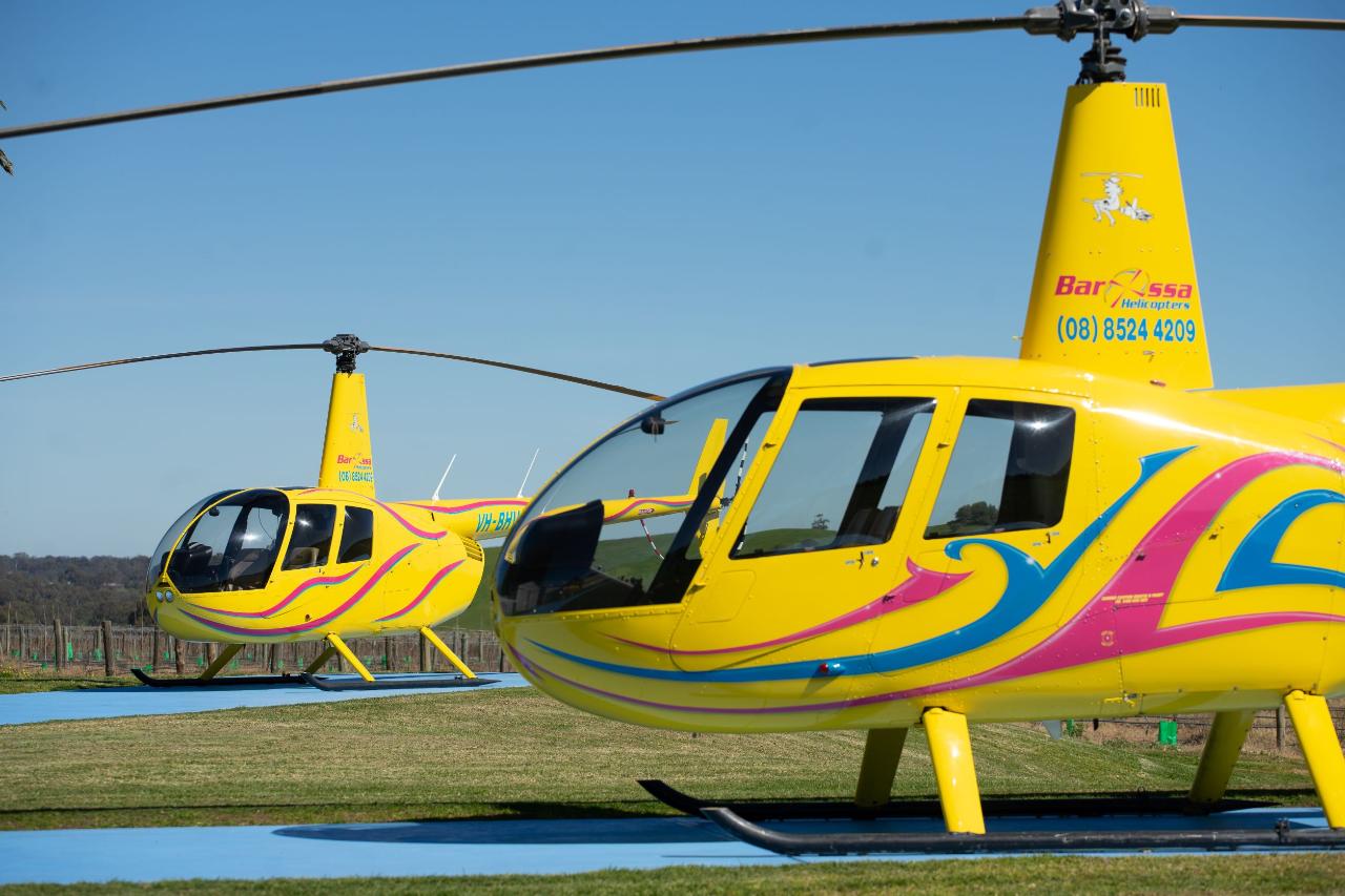 Private Southern Barossa & Reservoirs - 15 Minute Scenic Flight