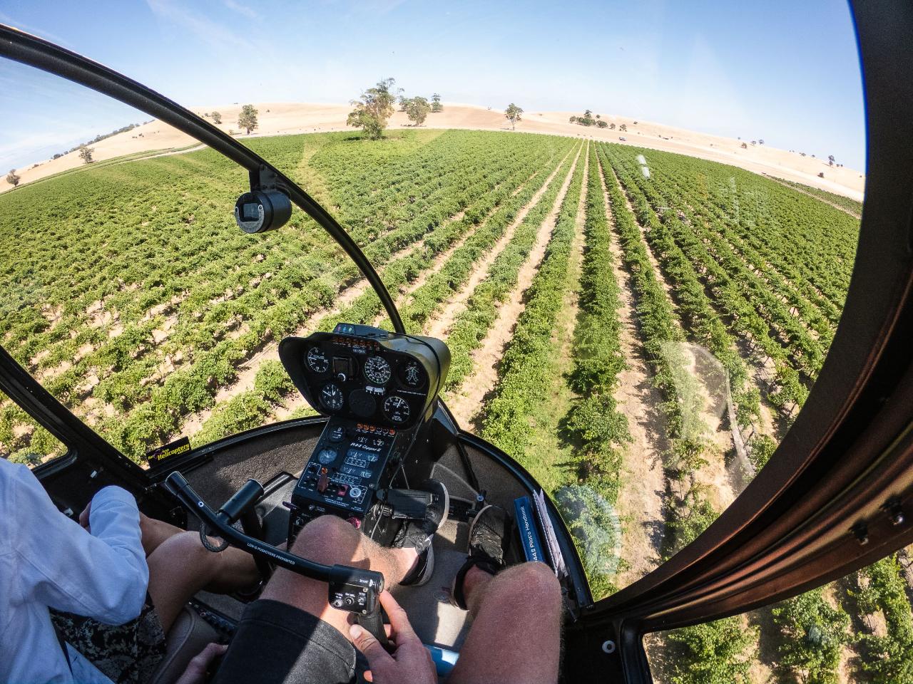 Private Barossa Valley Deluxe - 30 Minute Scenic Flight