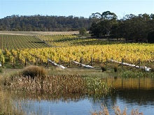Richmond And Wine Tour