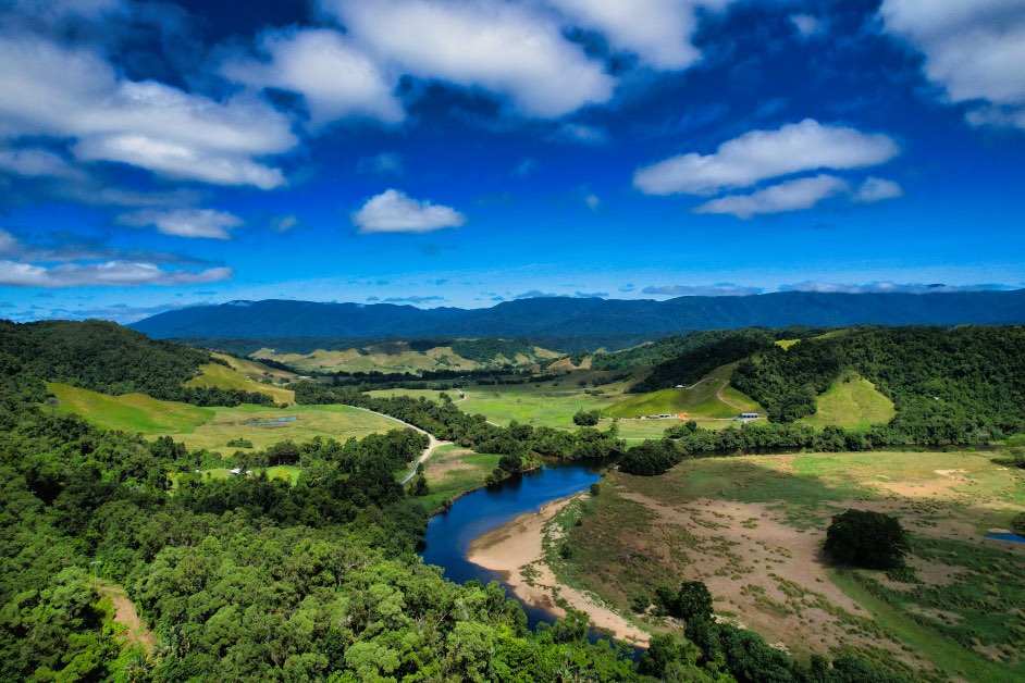 Crocodile Express Daintree Rainforest & Wildlife Cruise From Daintree Village
