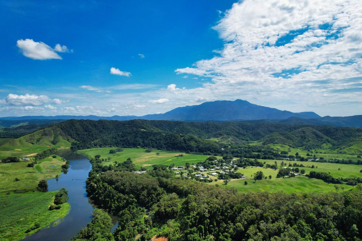 Crocodile Express Daintree Rainforest & Wildlife Cruise From Daintree Village