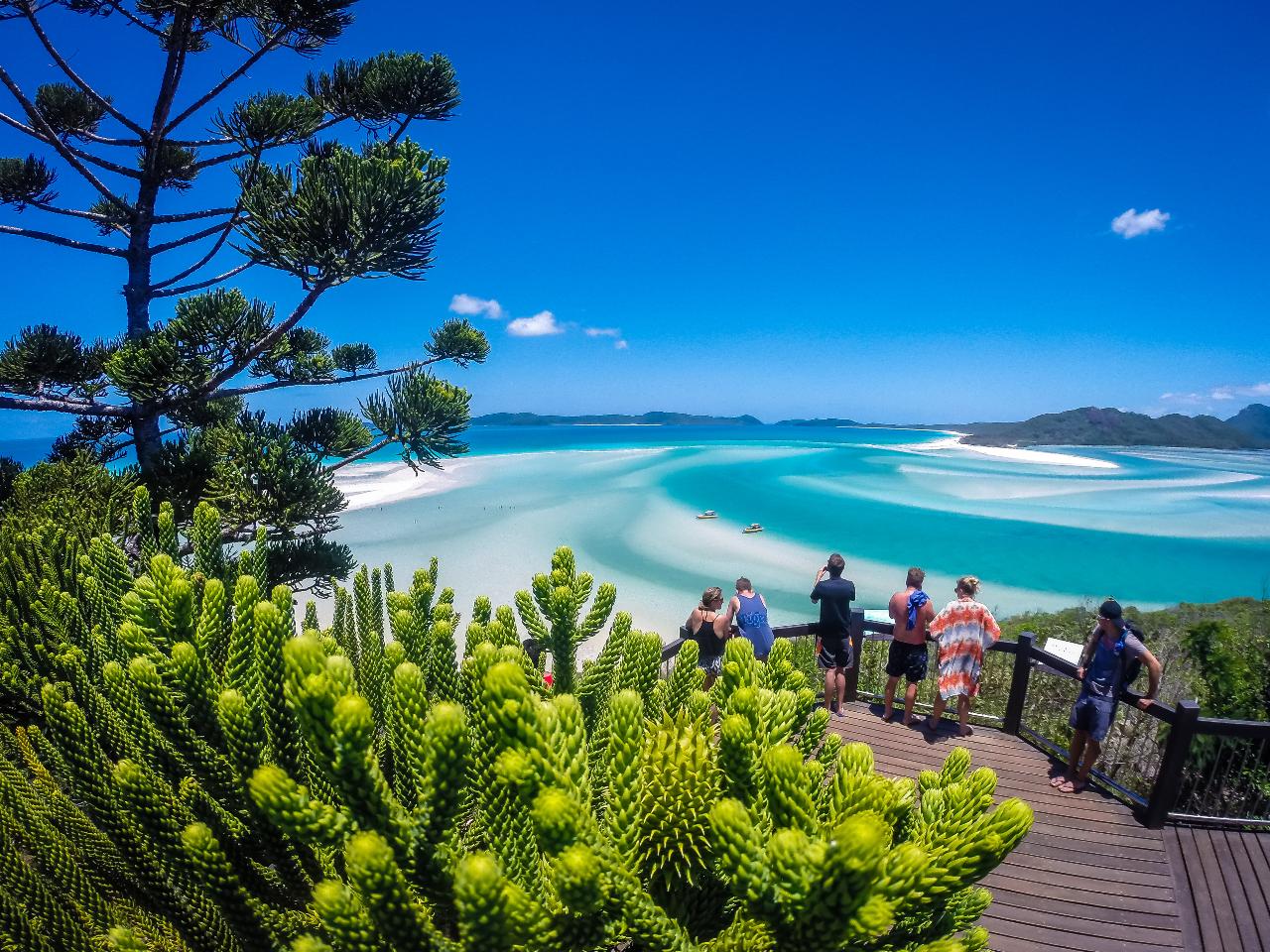 Combo 2 - Airlie Adventure & Thundercat Day Tour