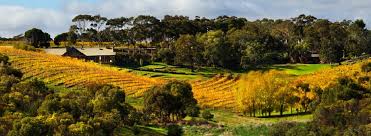 Mclaren Vale Ladies Luncheon Premium & Wine Tastings