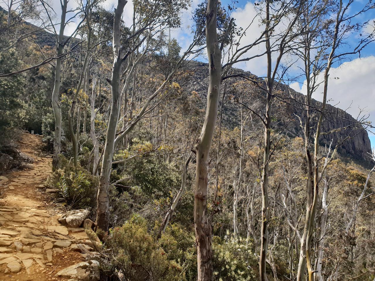Wild Wellness Fire And Ice Walk