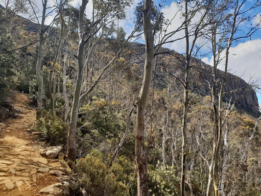 Wild Wellness Fire And Ice Walk