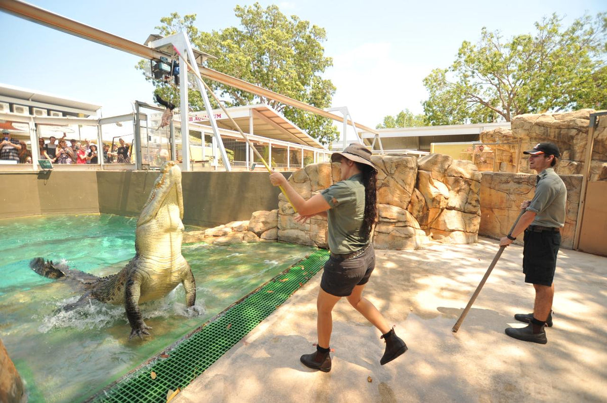 Croc N History