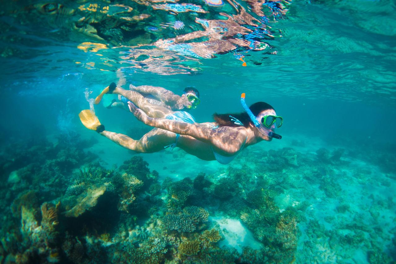 Autopia Tours: Perth To Exmouth 6 Day Coral Coaster