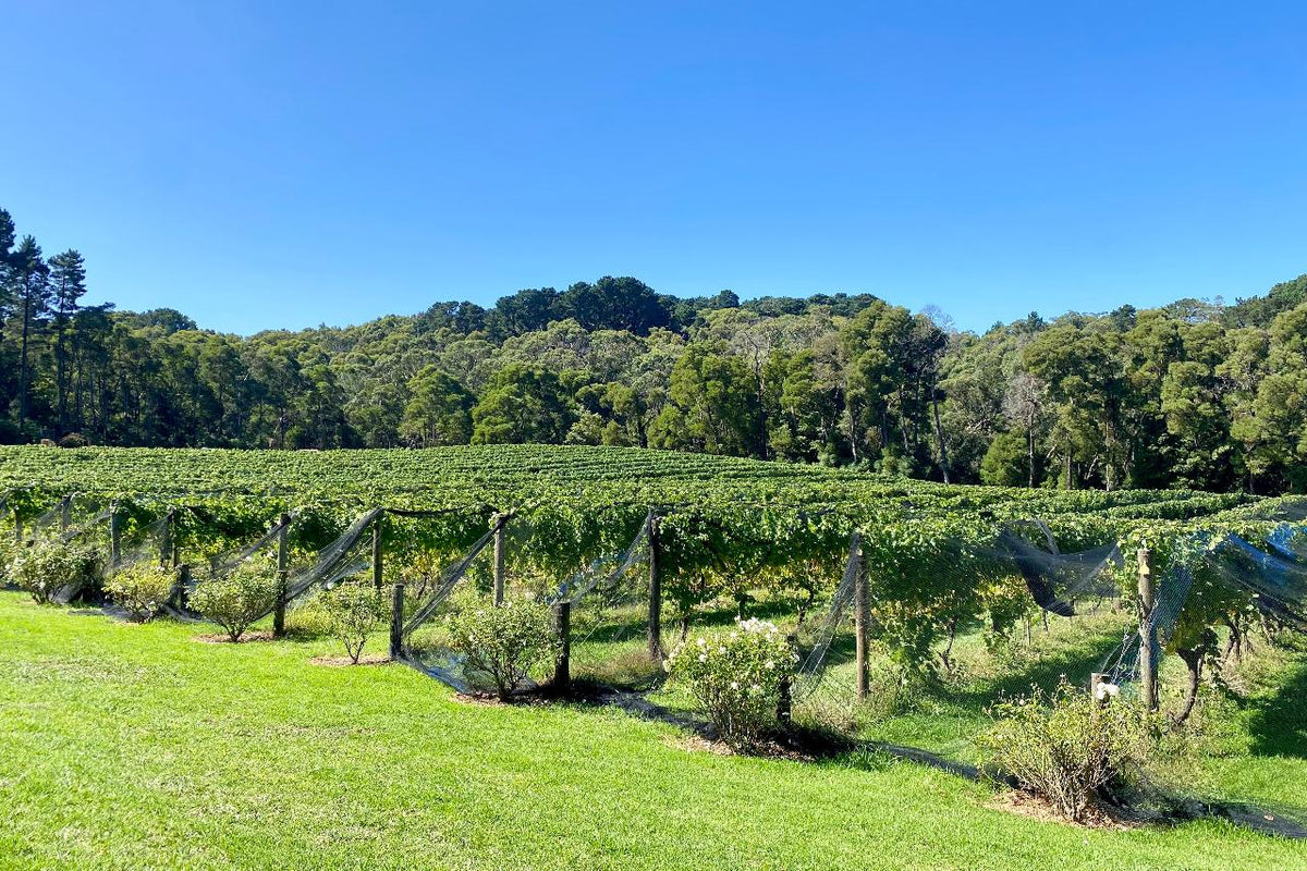 Mornington Peninsula Victoria - Guided Cycle Tour