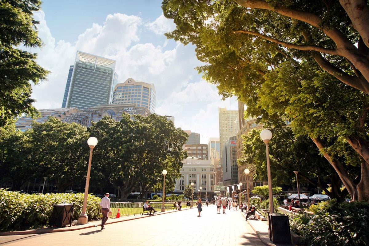 Sydney Highlights Half Day Private Tour