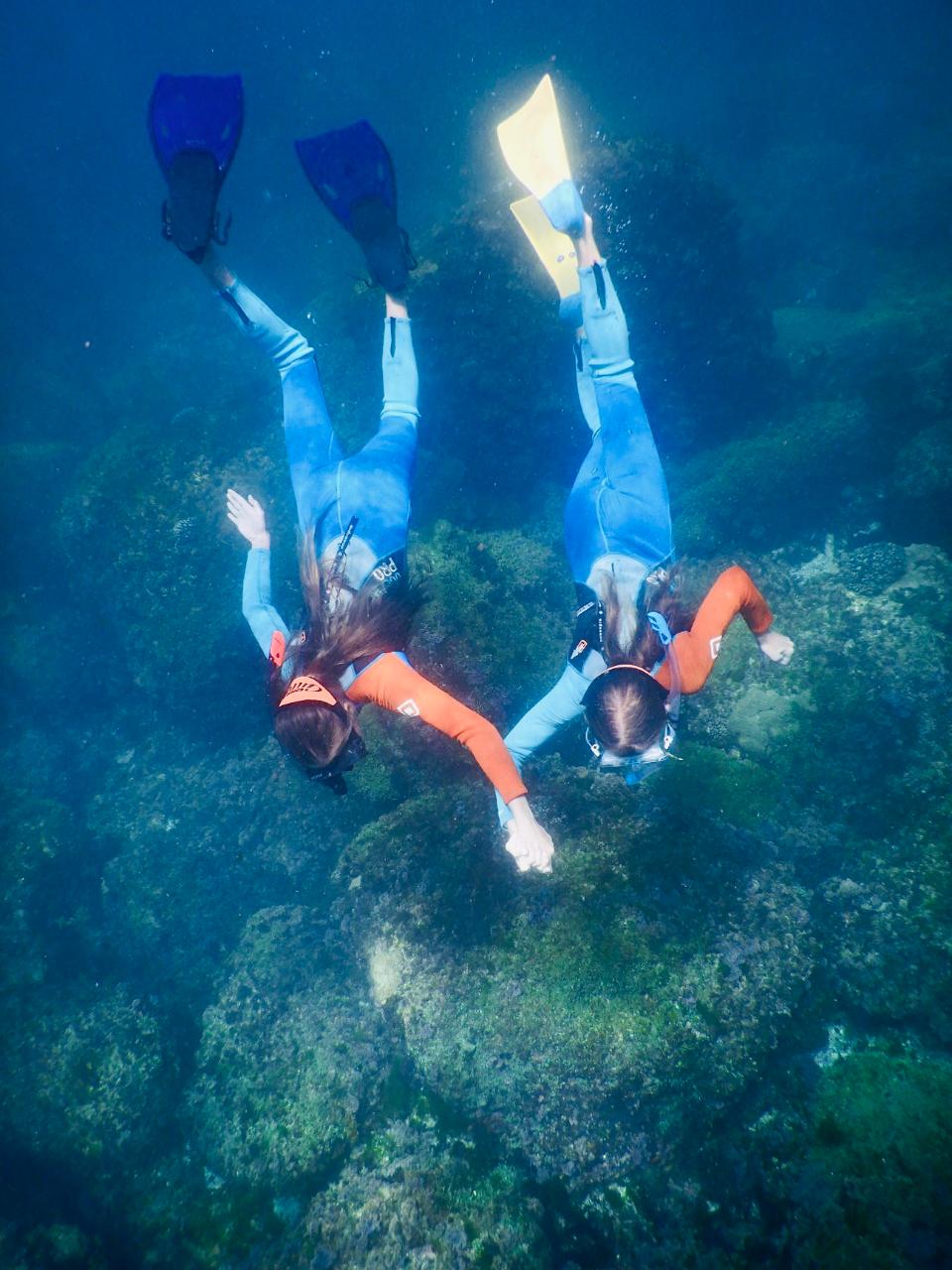 Snorkel With The Turtles!