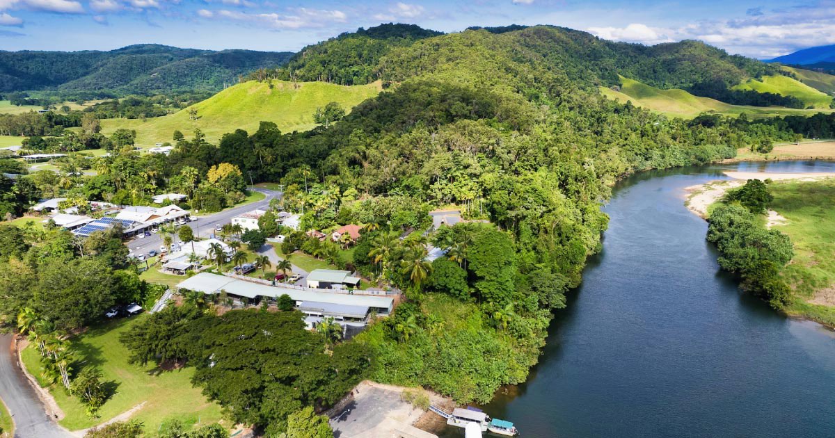 Crocodile Express Daintree Rainforest & Wildlife Cruise From Daintree Village
