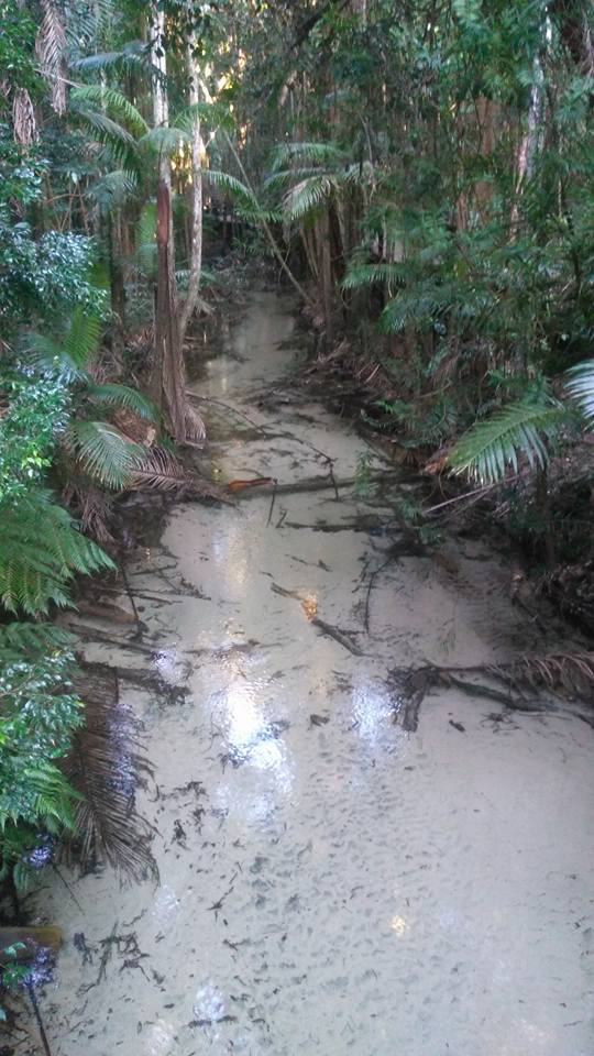 Fraser Island 2 Day 4Wd Safari Tour