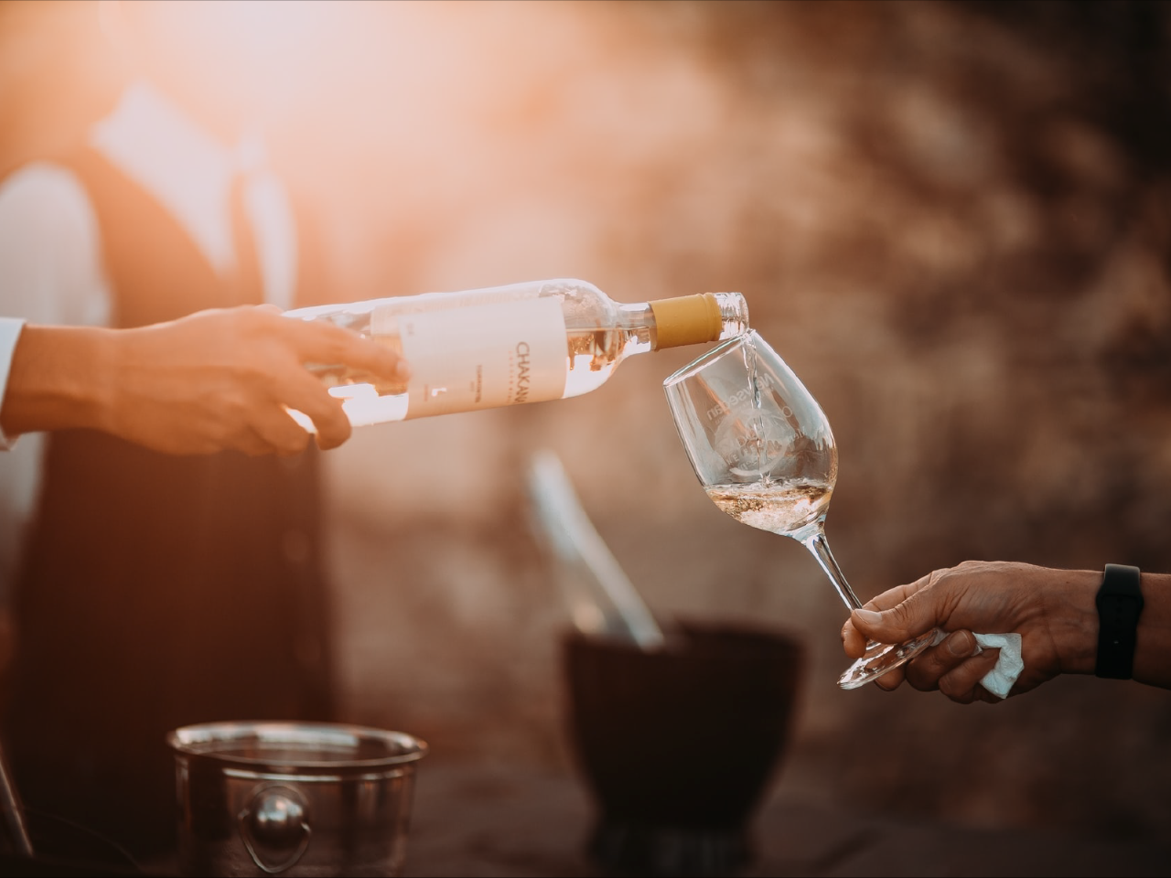 Exclusive Wine Charter Tour - Canberra