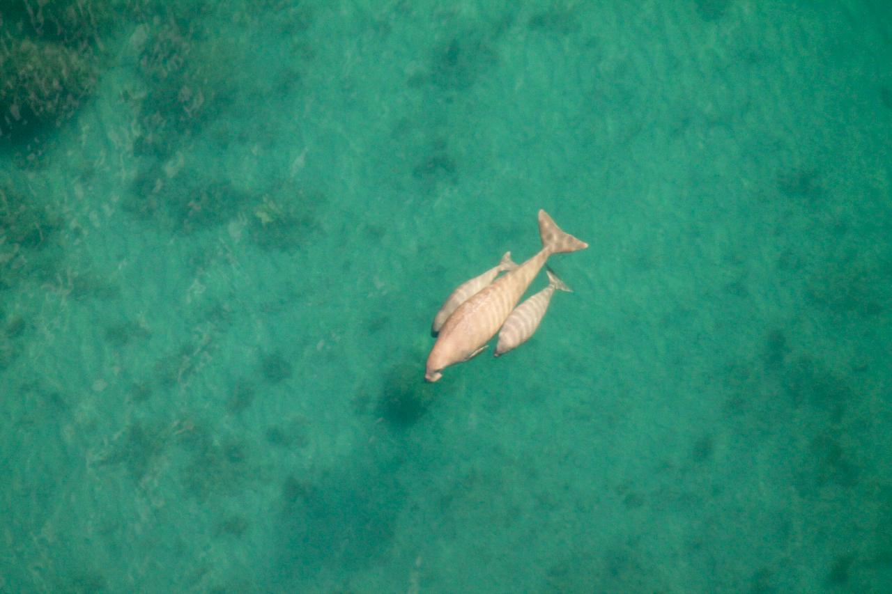 60 Min Birds Eye View Ningaloo