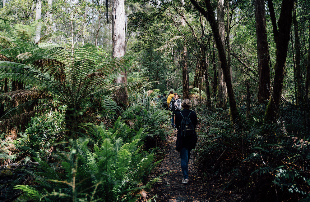 Shore Excursion - Bruny Island Day Tour