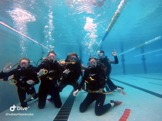 Open Water Scuba Diver Course