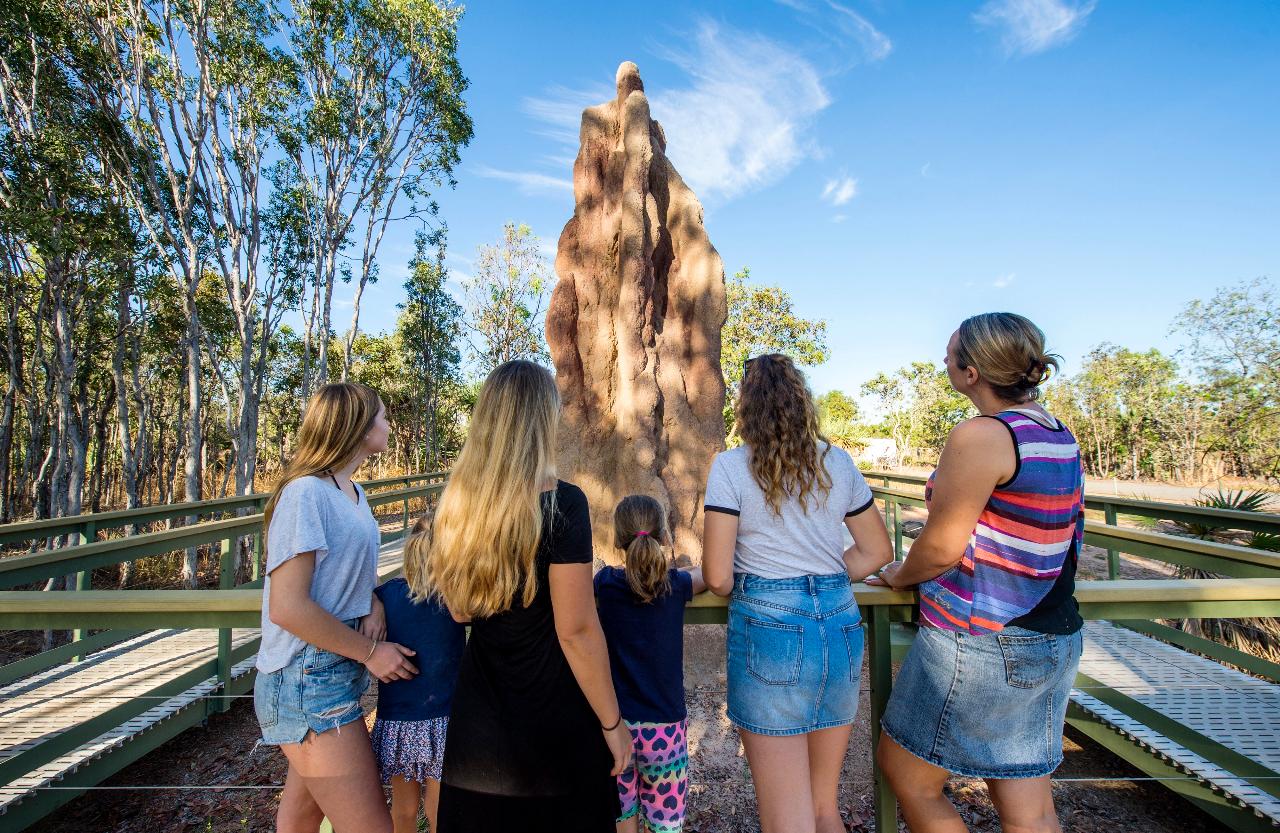 Autopia Tours: Litchfield National Park + Fogg Dam From Darwin