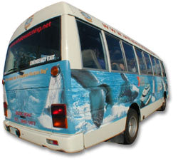 Premium Whale Watching Adventure - Ex Brisbane Cbd