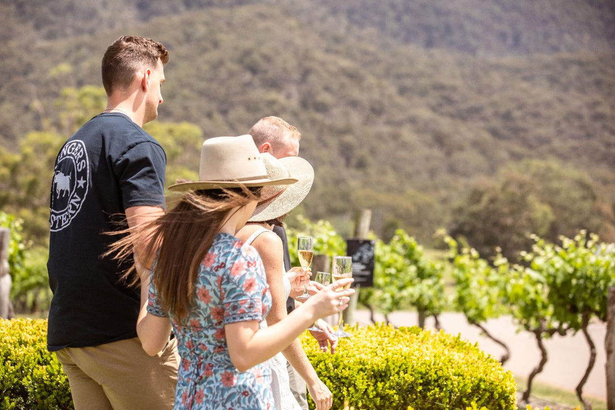Picnic Among The Vines
