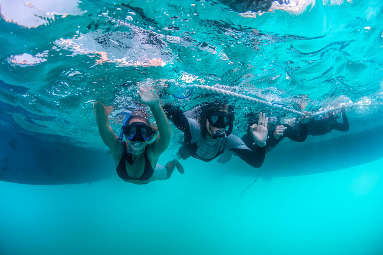 Wild Dolphin Swim & Watch 