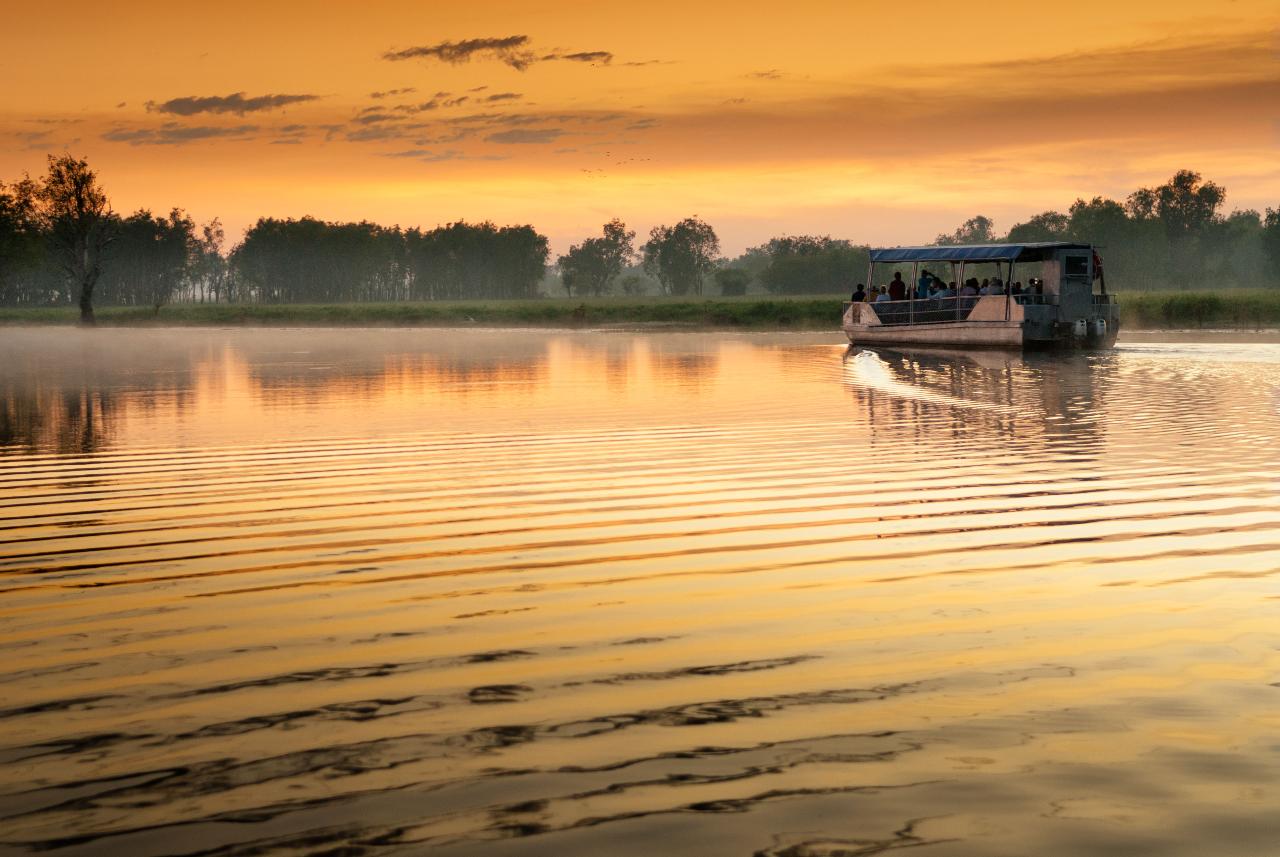 Kakadu In A Day