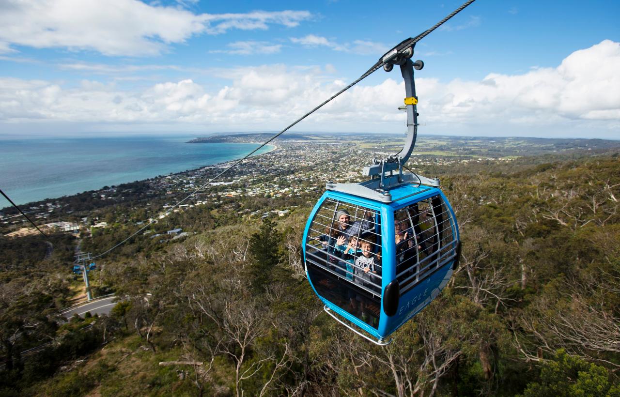 Mornington Peninsula Tour: Moonlit Sanctuary And Arthur Seat Adventure