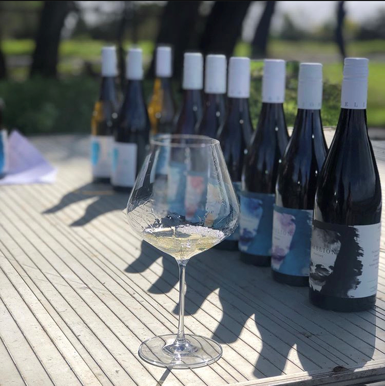 'Back Of The Ute' Vineyard Wine Tasting