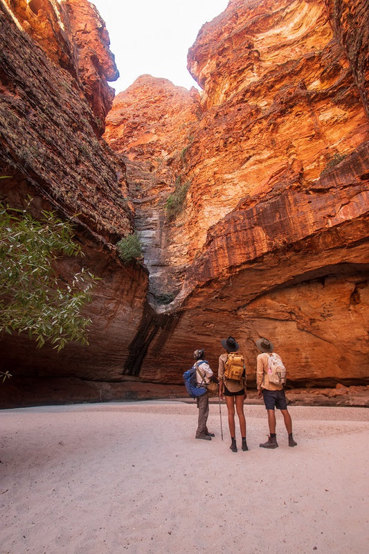 K1B+ Bungles Day Trek Extended With Echidna Chasm