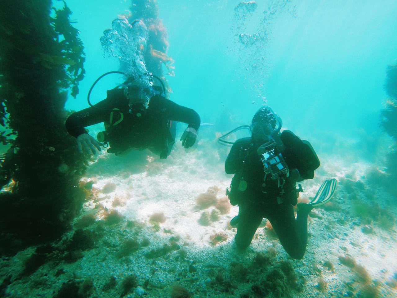 Padi Open Water Dive Course