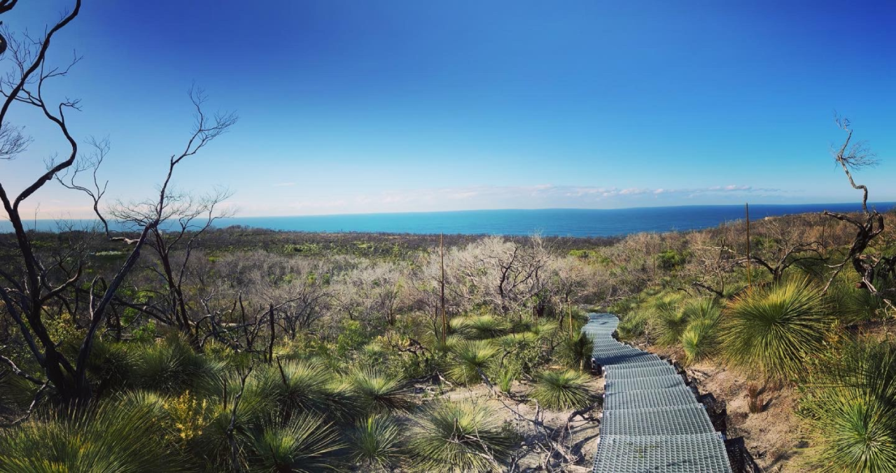 Private Tour - Nature, Culture And History, Immersion In North Head