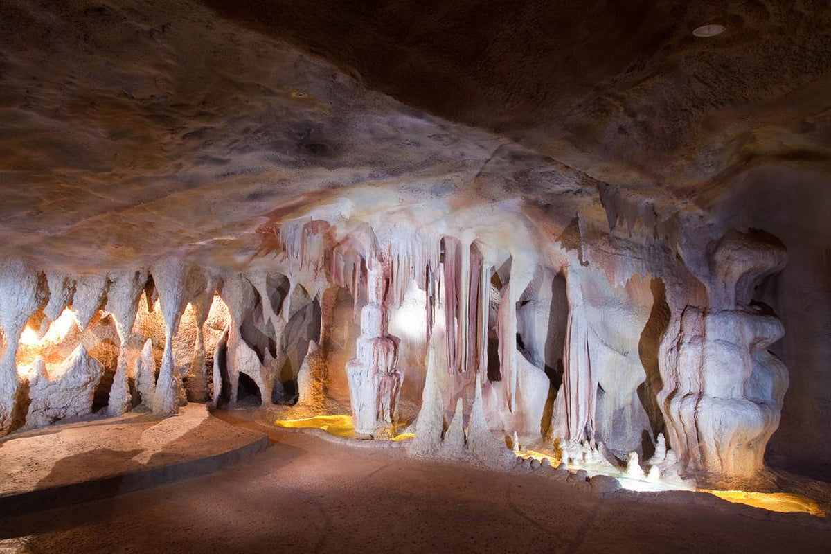 Springbrook & Tamborine Rainforest Tour