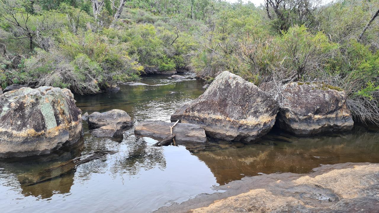 Collie Hike, Wine & Dine Experience