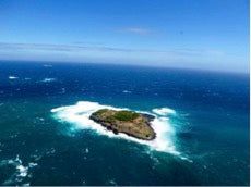 Certified Divers - Cook Island Double Dive Special