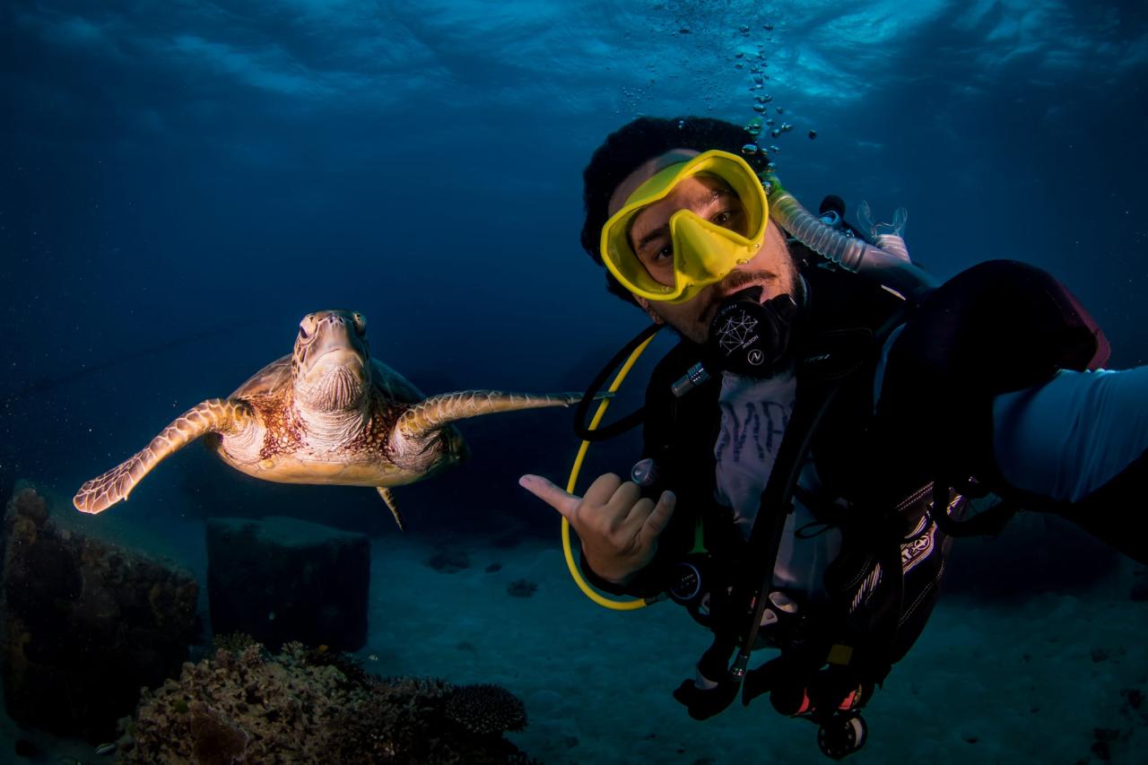 Certified Divers - Cook Island Double Dive Special
