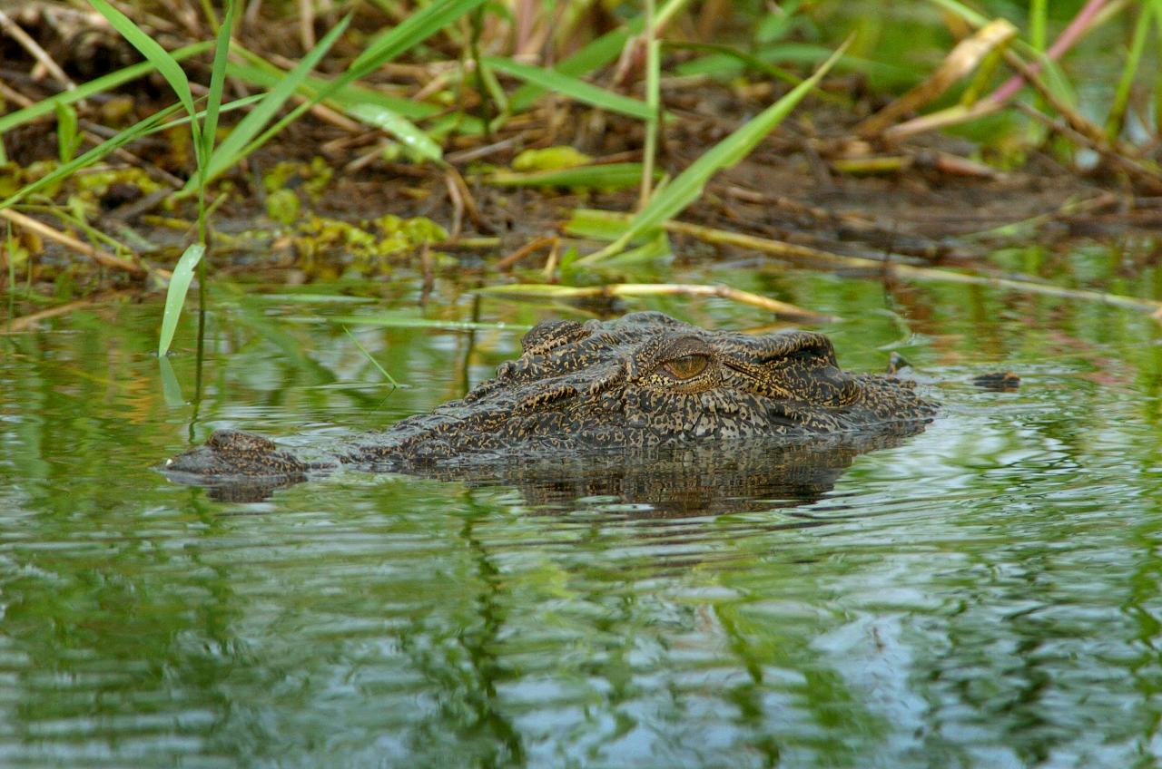 Kakadu Cultural Experience Day Tour